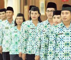PNS Indonesia