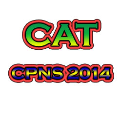 Tes CAT CPNS 2014